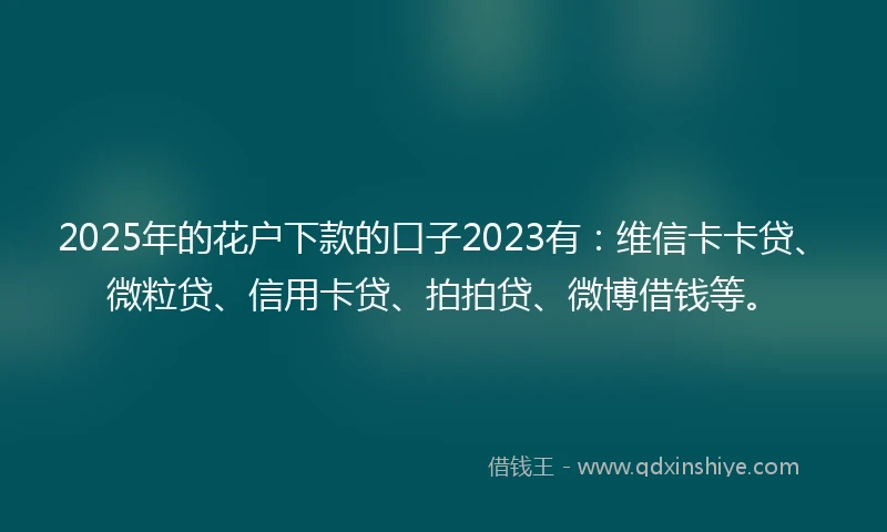 2025年的花户下款的口子2023有：维信卡卡贷、微粒贷、信用卡贷、拍拍贷、微博借钱等。