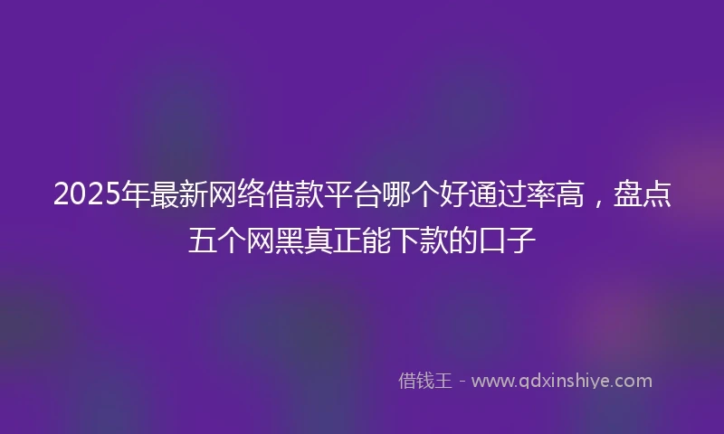 2025年最新网络借款平台哪个好通过率高，盘点五个网黑真正能下款的口子
