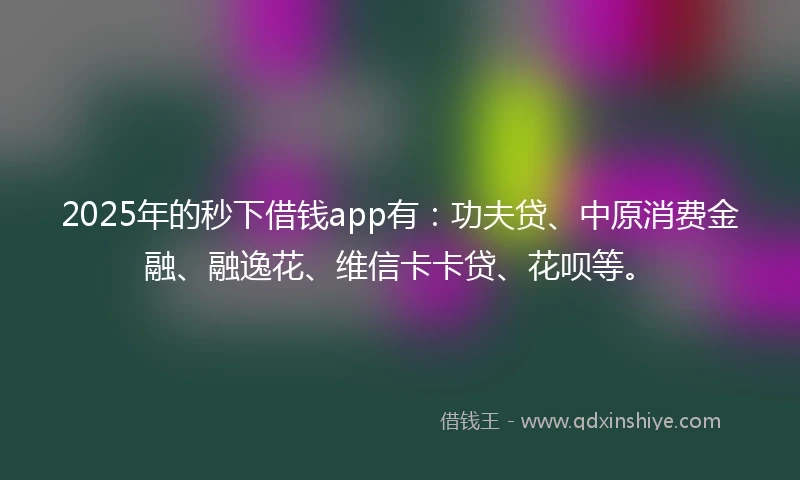 2025年的秒下借钱app有：功夫贷、中原消费金融、融逸花、维信卡卡贷、花呗等。