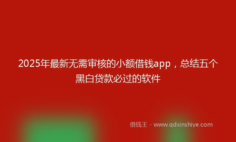 2025年最新无需审核的小额借钱app，总结五个黑白贷款必过的软件