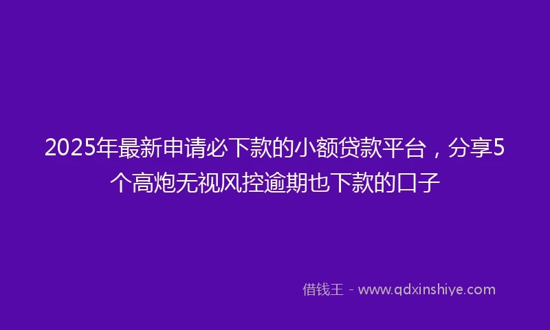 2025年最新申请必下款的小额贷款平台，分享5个高炮无视风控逾期也下款的口子