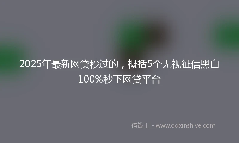 2025年最新网贷秒过的，概括5个无视征信黑白100%秒下网贷平台