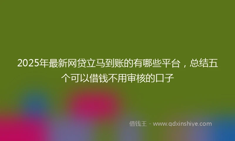 2025年最新网贷立马到账的有哪些平台，总结五个可以借钱不用审核的口子
