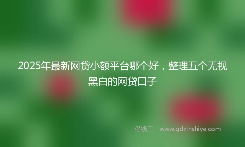 2025年最新网贷小额平台哪个好，整理五个无视黑白的网贷口子