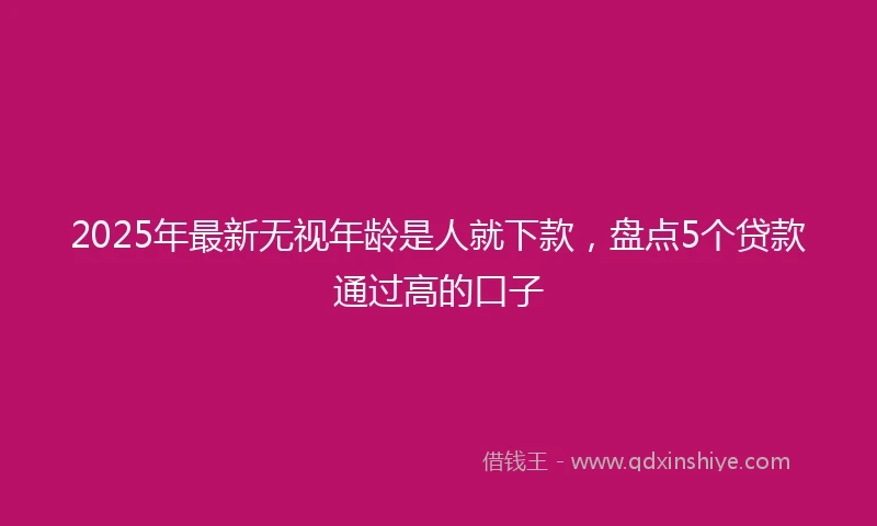 2025年最新无视年龄是人就下款，盘点5个贷款通过高的口子