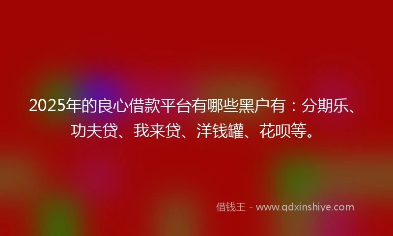 2025年的良心借款平台有哪些黑户有：分期乐、功夫贷、我来贷、洋钱罐、花呗等。