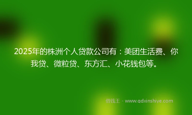 2025年的株洲个人贷款公司有：美团生活费、你我贷、微粒贷、东方汇、小花钱包等。