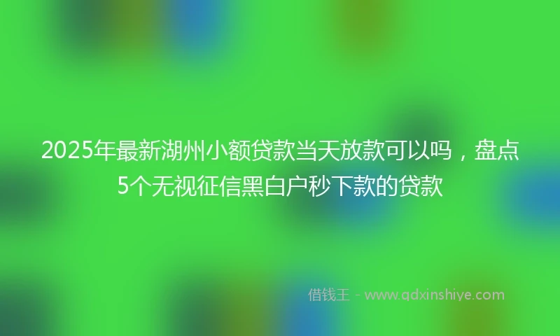 2025年最新湖州小额贷款当天放款可以吗，盘点5个无视征信黑白户秒下款的贷款