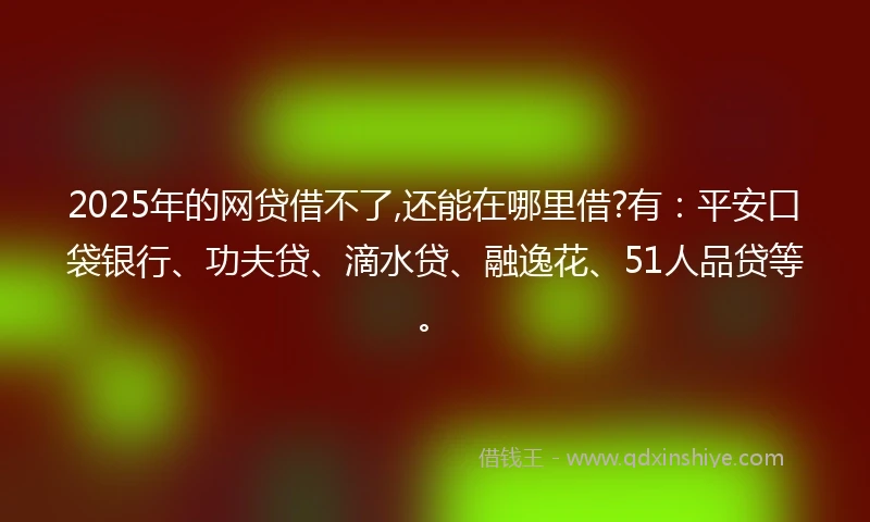 2025年的网贷借不了,还能在哪里借?有：平安口袋银行、功夫贷、滴水贷、融逸花、51人品贷等。
