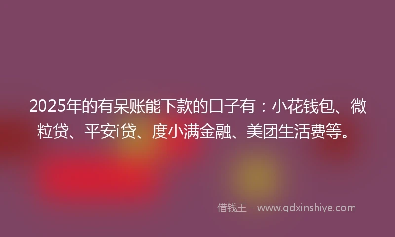 2025年的有呆账能下款的口子有：小花钱包、微粒贷、平安i贷、度小满金融、美团生活费等。