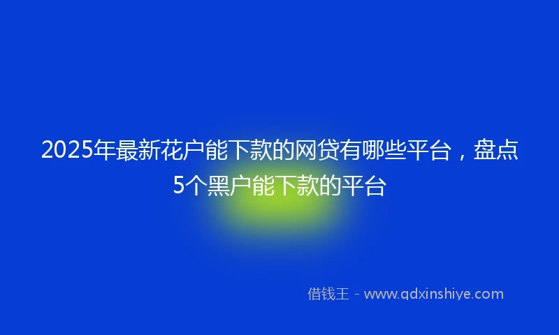 2025年最新花户能下款的网贷有哪些平台,盘点5个黑户能下款的平台