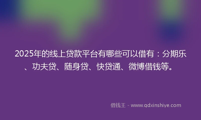 2025年的线上贷款平台有哪些可以借有：分期乐、功夫贷、随身贷、快贷通、微博借钱等。