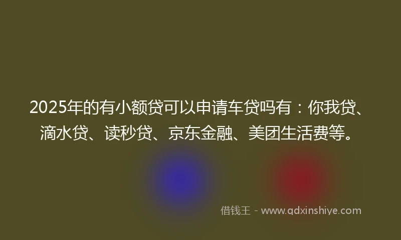 2025年的有小额贷可以申请车贷吗有：你我贷、滴水贷、读秒贷、京东金融、美团生活费等。
