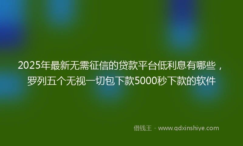 2025年最新无需征信的贷款平台低利息有哪些，罗列五个无视一切包下款5000秒下款的软件