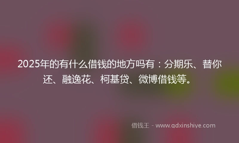 2025年的有什么借钱的地方吗有：分期乐、替你还、融逸花、柯基贷、微博借钱等。