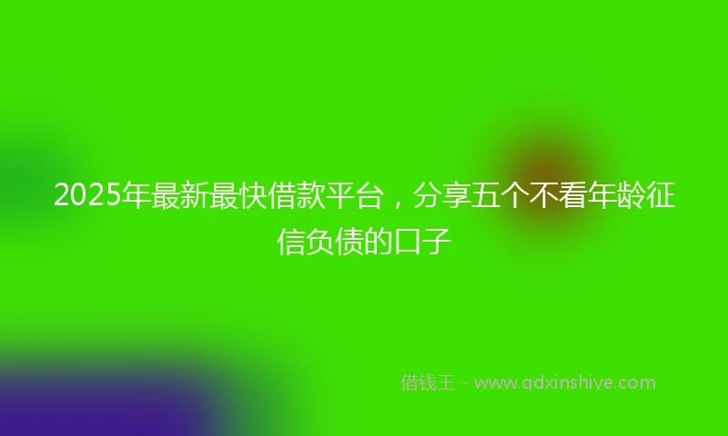 2025年最新最快借款平台，分享五个不看年龄征信负债的口子
