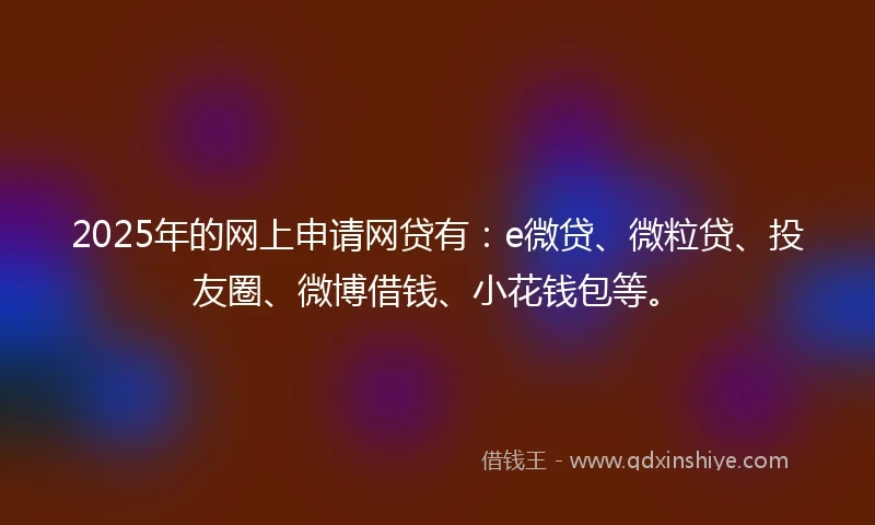 2025年的网上申请网贷有：e微贷、微粒贷、投友圈、微博借钱、小花钱包等。