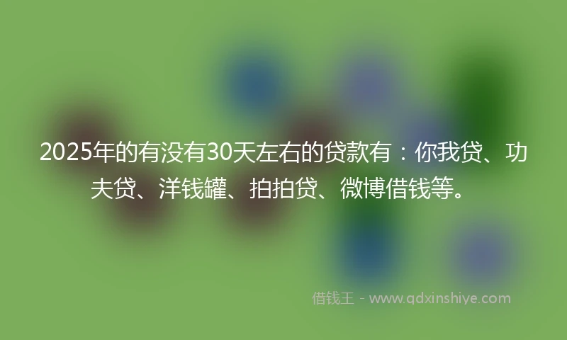 2025年的有没有30天左右的贷款有：你我贷、功夫贷、洋钱罐、拍拍贷、微博借钱等。