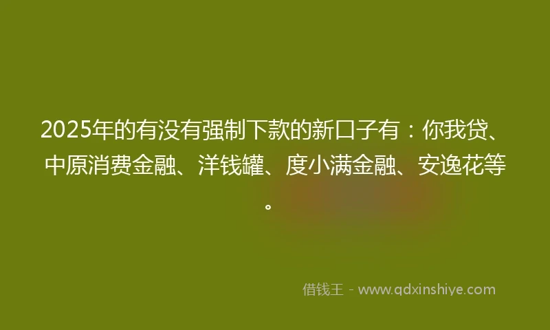 2025年的有没有强制下款的新口子有：你我贷、中原消费金融、洋钱罐、度小满金融、安逸花等。