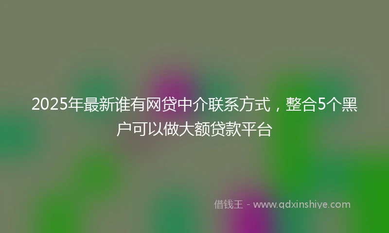 2025年最新谁有网贷中介联系方式，整合5个黑户可以做大额贷款平台