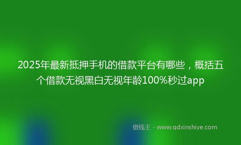 2025年最新抵押手机的借款平台有哪些，概括五个借款无视黑白无视年龄100%秒过app