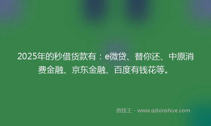 2025年的秒借货款有：e微贷、替你还、中原消费金融、京东金融、百度有钱花等。