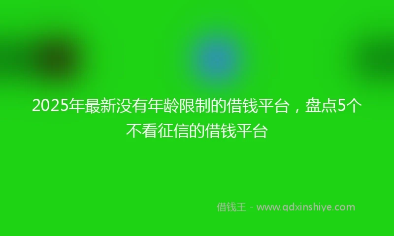 2025年最新没有年龄限制的借钱平台，盘点5个不看征信的借钱平台