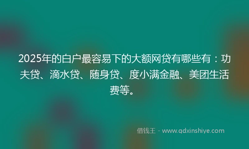 2025年的白户最容易下的大额网贷有哪些有：功夫贷、滴水贷、随身贷、度小满金融、美团生活费等。