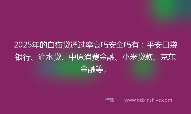 2025年的白猫贷通过率高吗安全吗有：平安口袋银行、滴水贷、中原消费金融、小米贷款、京东金融等。