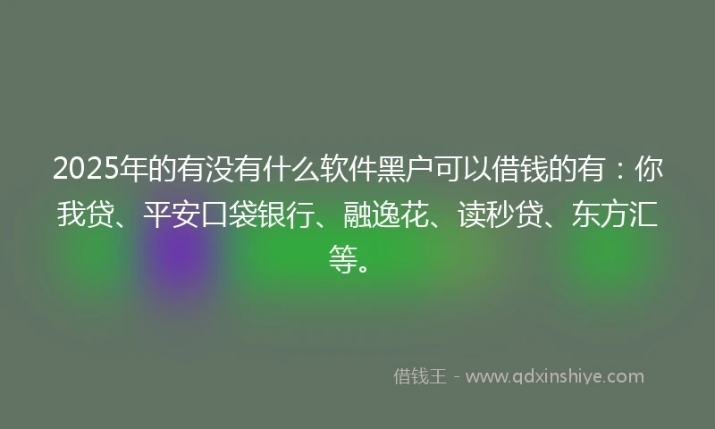 2025年的有没有什么软件黑户可以借钱的有：你我贷、平安口袋银行、融逸花、读秒贷、东方汇等。