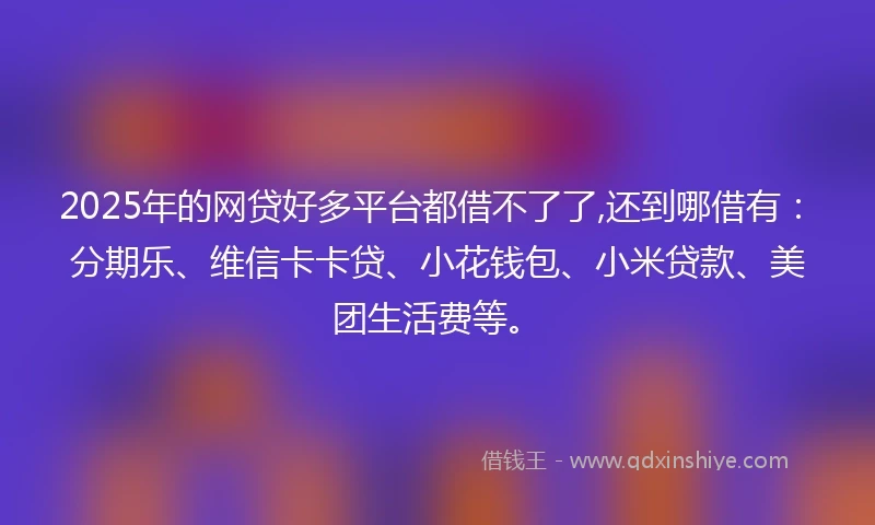 2025年的网贷好多平台都借不了了,还到哪借有：分期乐、维信卡卡贷、小花钱包、小米贷款、美团生活费等。