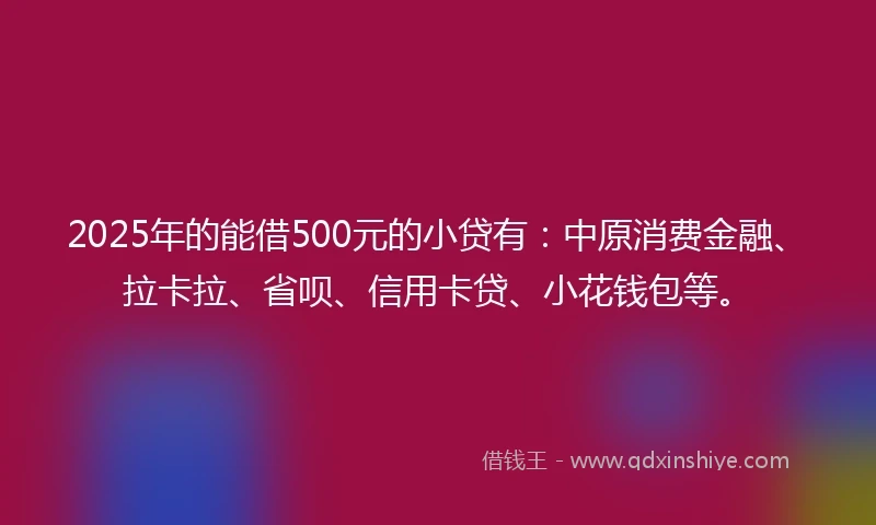 2025年的能借500元的小贷有：中原消费金融、拉卡拉、省呗、信用卡贷、小花钱包等。
