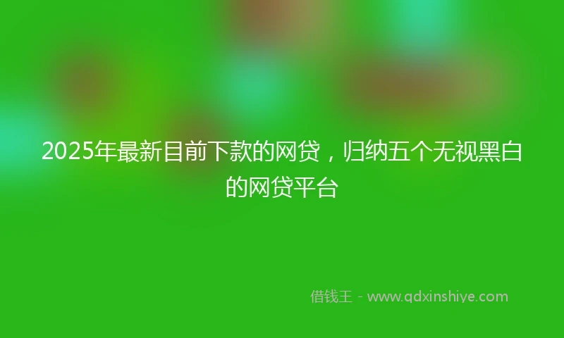 2025年最新目前下款的网贷，归纳五个无视黑白的网贷平台