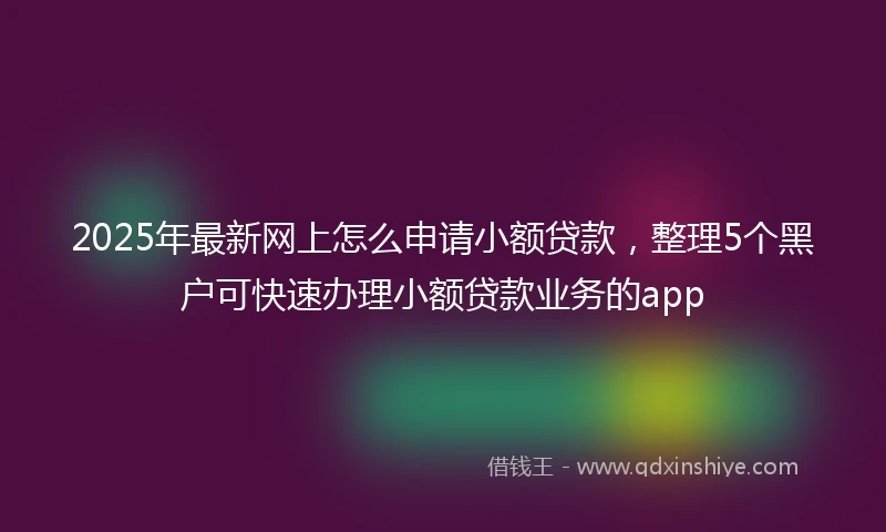 2025年最新网上怎么申请小额贷款，整理5个黑户可快速办理小额贷款业务的app