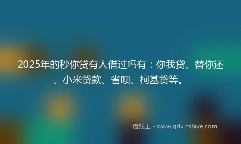 2025年的秒你贷有人借过吗有：你我贷、替你还、小米贷款、省呗、柯基贷等。