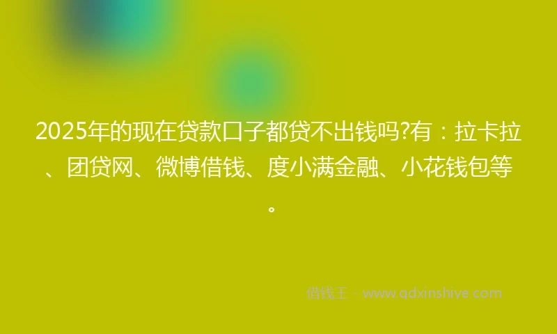 2025年的现在贷款口子都贷不出钱吗?有：拉卡拉、团贷网、微博借钱、度小满金融、小花钱包等。