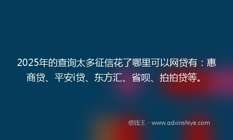 2025年的查询太多征信花了哪里可以网贷有：惠商贷、平安i贷、东方汇、省呗、拍拍贷等。