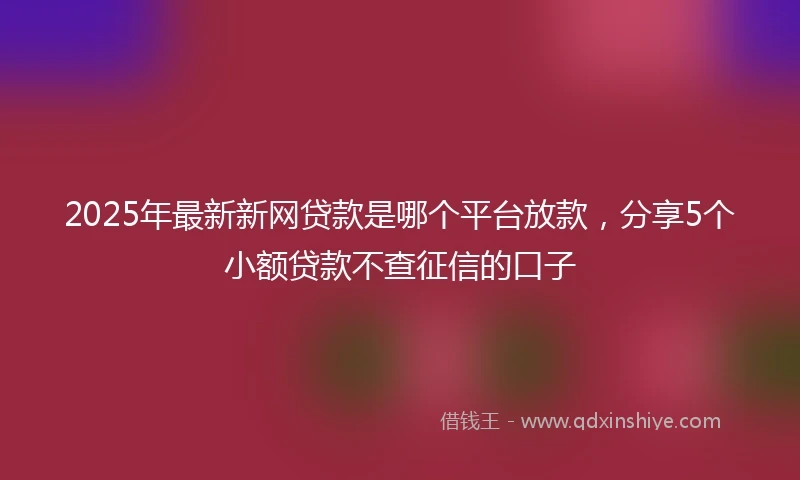 2025年最新新网贷款是哪个平台放款，分享5个小额贷款不查征信的口子