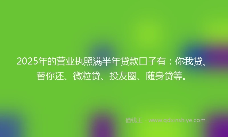 2025年的营业执照满半年贷款口子有：你我贷、替你还、微粒贷、投友圈、随身贷等。