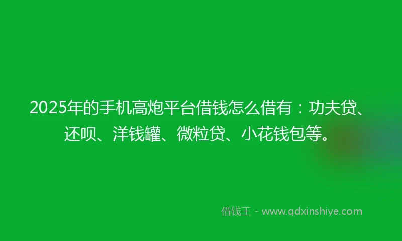 2025年的手机高炮平台借钱怎么借有：功夫贷、还呗、洋钱罐、微粒贷、小花钱包等。
