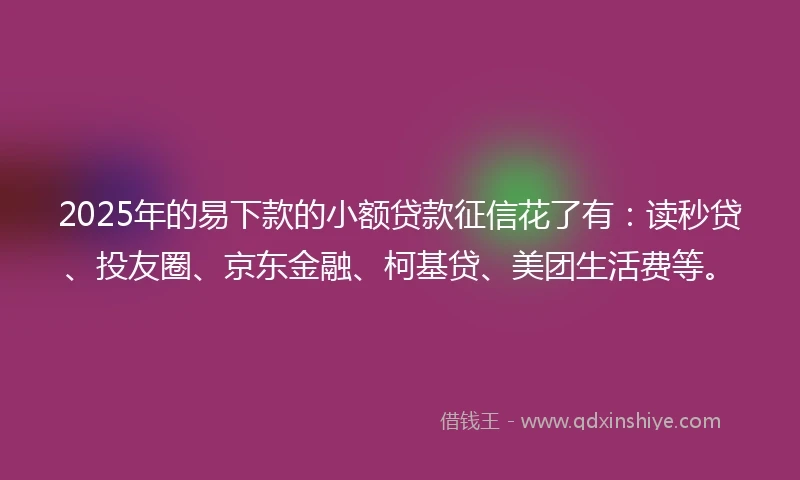 2025年的易下款的小额贷款征信花了有：读秒贷、投友圈、京东金融、柯基贷、美团生活费等。
