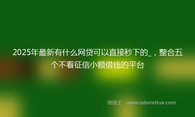 2025年最新有什么网贷可以直接秒下的_,整合五个不看征信小额借钱的平台