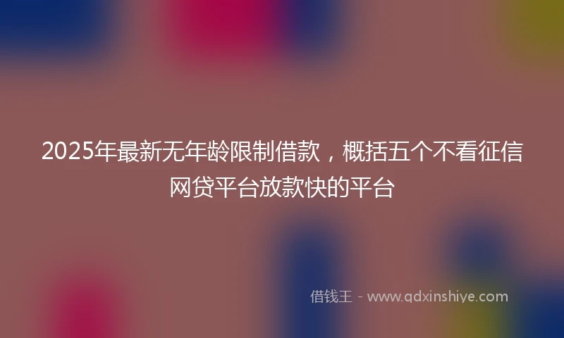 2025年最新无年龄限制借款，概括五个不看征信网贷平台放款快的平台
