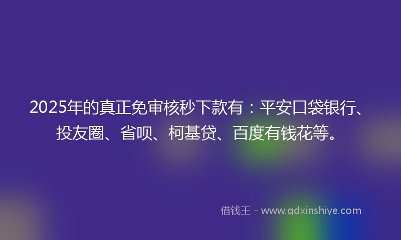 2025年的真正免审核秒下款有：平安口袋银行、投友圈、省呗、柯基贷、百度有钱花等。