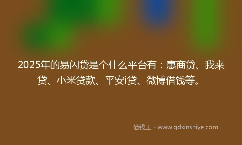 2025年的易闪贷是个什么平台有：惠商贷、我来贷、小米贷款、平安i贷、微博借钱等。