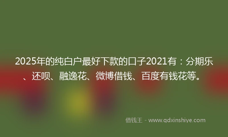 2025年的纯白户最好下款的口子2021有：分期乐、还呗、融逸花、微博借钱、百度有钱花等。