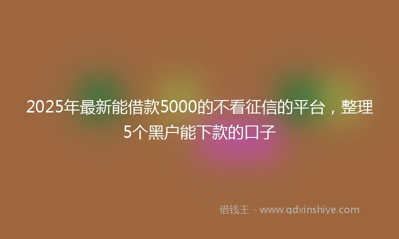 2025年最新能借款5000的不看征信的平台，整理5个黑户能下款的口子