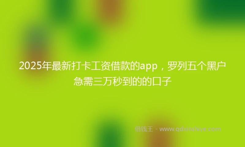 2025年最新打卡工资借款的app，罗列五个黑户急需三万秒到的的口子