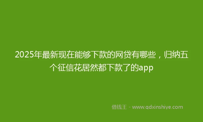 2025年最新现在能够下款的网贷有哪些，归纳五个征信花居然都下款了的app