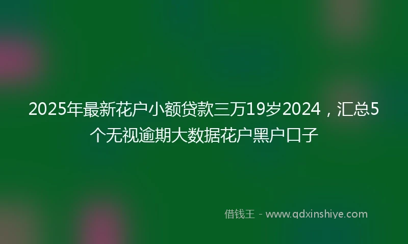 2025年最新花户小额贷款三万19岁2024,汇总5个无视逾期大数据花户黑户口子
